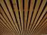 Commercial Wood Slat Ceiling