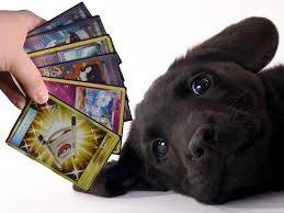 The process, handled by creatures, inc., is involved and thorough. Boy Sells Pokemon Cards To Pay For Sick Puppy S Vet Bills