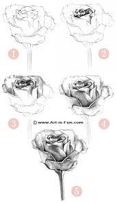 How To Draw A Rose Learn To Draw Rose Pencil Drawings Roses Drawing Flower Drawing