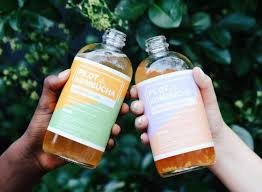 Can you drink kombucha daily? Best Kombucha Brands To Look Out For In Stores