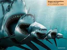 It is the biggest shark that ever lived. Megalodon Brandon S Shark Room