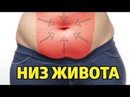 как избавиться от вздутия живота быстро в домашних условиях Kak Ubrat Niz Zhivota Za 30 Dnej V Domashnih Usloviyah Youtube V 2020 G Trenirovki Myshc Zhivota Tovary Dlya Zdorovya Uprazhneniya Dlya Zhivota