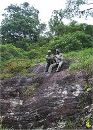 Image result for Sericanthe leonardii