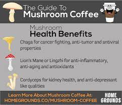 Mushroom Coffee The Super Healthy And Super Strange Coffee Craze Mushroom Coffee Stuffed Mushrooms Coffee Recipe Healthy
