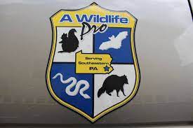 Whether bats have invaded your attic, or you have an opossum in your crawlspace, clegg's termite & pest control has the trained personnel to address your nuisance wildlife needs. All Pro Wildlife Home Facebook