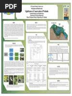 Image result for Polysphaeria dischistocalyx