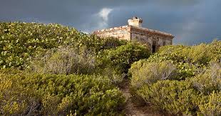 Puerto Ferro Puerto Rican Culture Vieques Lighthouse