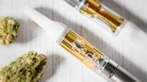 Can Drug Dogs Really Smell Marijuana And Other Drugs Through Odor Proof  Bags? | Berry Law