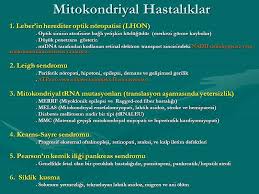Mitokondri Hastaliklari Metabolizma Epilepsi Yaslanma
