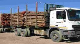 Baseline vehicle comprising a rigid truck towing a 4-axle ...