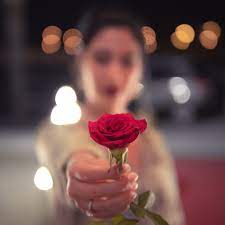 Share with you the beautiful flowers images, flowers whatsapp dp, nd the images of flowers for you. Beautiful Flower Dp Hd Images Free Download