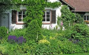 1x1 Der Gartengestaltung Gartengestaltung Garten Fassadenbegrunung