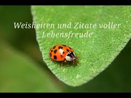 Weisheiten Und Zitate Voller Lebensfreude Mit Naturfotos Kraft Sammeln Energie Tanken