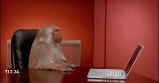 Everybody S Reaction After Checking Powerball Numbers Monkeys Funny Baboon Funny Gif