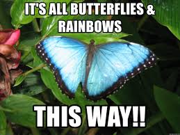 The meme template of is this butterfly. It S All Butterflies Rainbows This Way Butterflies Meme Meme Generator