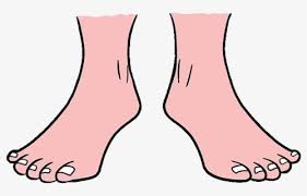 Toes are essentially a stubby rounded shape with a nail. How To Draw Feet Toes Drawing Color Free Transparent Clipart Clipartkey