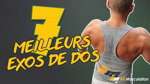 Le meilleur exercice de pectoraux par exemple, dépend de chacun, de sa morphologie, de ses sensations musculaires, etc. Les 7 Meilleurs Exercices Musculation Du Dos Youtube