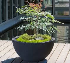 It seems a pity if all of your hard work comes to an end after each growing season. 48 Best Round Pot Ideas Planters Outdoor Planters Plants