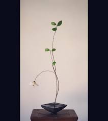 desmond li 李慕白さんはinstagramを利用しています 花 山茶花 器 雲南 劍川黑陶 姚繼亮作 侍花 李慕白 なげいれ 野の花 草花 山の花 植物 山野草 生け花 いけばな 華道 茶花 插花 土器 陶器 花道 古美術 花器 花のある暮 茶花 花 生け花