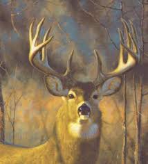 Shop now for wallpapers and wallpaper borders paintable wallpaper and grasscloth free shipping on order over $50. York Lake Forest Lodge White Tail Deer Wallpaper Border Wg0346bd Wallpaper For Less Murray