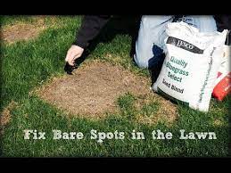 Due To Improper Lawn Care The Grass Can Quickly Lose Its Fresh Appearance To Avoid This We Ve Come Up With A Simple Guid Lawn Repair Lawn Lawn Care Business