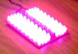 Build A Small 10w Led Grow Light For Plants Diyblindguy