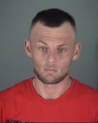 Domestic Violence is never acceptable and will not be tolerated, in any  capacity. The following were arrested