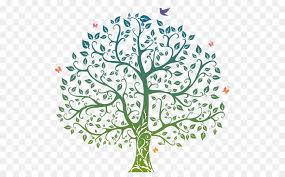 Lebensbaum Zeichnung Clip Art Baum Png Herunterladen 555 545 Kostenlos Transparent Baum Png Herunterladen