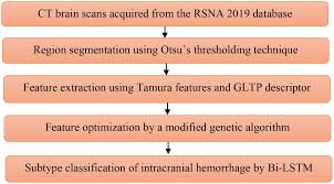Image result for Hemorrhage Classification