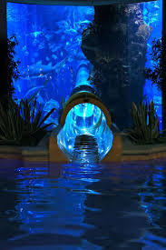 Las Vegas Golden Nugget Waterslide This Place Is Awesome Places To Travel Travel Vacation Spots