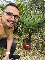 Down in our deep ravine where the palm trees grow in water, ice and snow .  Jan 14 Gulf Islands. 📷 📷 📷 **Like** **Comment** **Share**