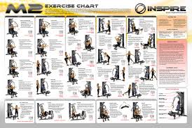 Bench Press Workout Online Charts Collection