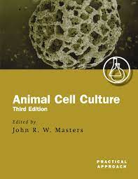 See what's new with book lending at the internet archive. Buy Animal Cell Culture A Practical Approach 232 Practical Approach Series Book Online At Low Prices In India Animal Cell Culture A Practical Approach 232 Practical Approach Series Reviews Ratings Amazon In