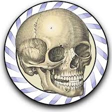 This app is being offered free to demonstrate the groundbreaking 3d technology and innovative design inherent in 3d4medical's new range. Essential Skeleton 3 For Android Apk Download