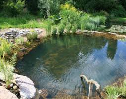 Pin By Kelsey Noelle On Shacksperation Natural Swimming Pools Swimming Pond Natural Pond