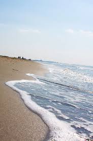 Go To The Beach Without A Car Around Montpellier Montpellier Tourist Office Endroits A Visiter Tourisme Plage