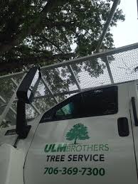Looking for brothers tree service? Ulmbrothers Tree Services Home Facebook
