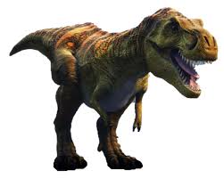 We do not intend to infringe any legitimate intellectual right, artistic rights or copyright. Dino Dan Images To Print Geoworld Dino Dan Kits 18 Dino Riffic Prehistoric Finds For Your Kidosaurs Popsugar Family Photo 13 Veja O Que Dino Dan Danbakura Descobriu No Pinterest