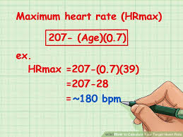 Maximum Heart Rate Formula M A N O X B L O G