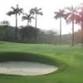 All India Amateur event image