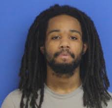 Vehicle taken with pets inside.