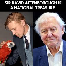 Blue-gray Tanager Arenal Area, Costa Rica