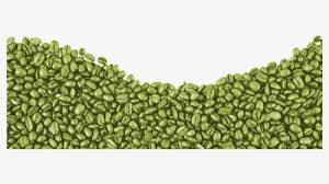 Transparent Coffee Bean Png Green Coffee In Qatar Png Download Kindpng Green coffee beans poured into the coffee machines. transparent coffee bean png green