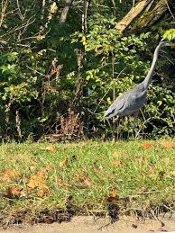 St. Matthews Matters news and events