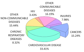 1 Pie Chart Showing Worldwide Causes Of Death As Percentages