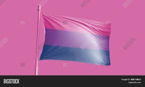 Rainbow pride flag of lgbt organization. Bisexual Pride Flag Image Photo Free Trial Bigstock