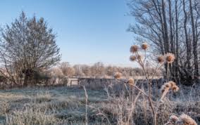 La météo du vendredi 5 mars 2021 à la crau. Ntndxwbyjbyqam