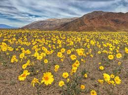 It's the hottest, lowest and driest place in north america, and its reputation that of a bleak place, bereft. Washington Post