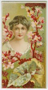Begonia Originality Id 1574992 Nypl Digital Gallery Flower Art Painting Flower Art Language Of Flowers