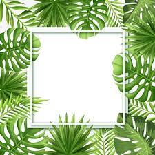 Baby Shower Invite Boarder Leaf Background Tropical Frames Tropical Background